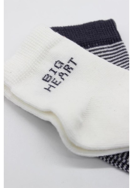 Bistyle Big Heart Penye Soket Çorap 2'li BS10117 Antrasit fırsatları