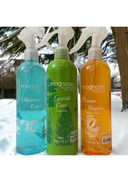 Oda ve Ortam Spreyi 3'lü Avantajlı Set (Okyanus, çam. kavun) fiyatları