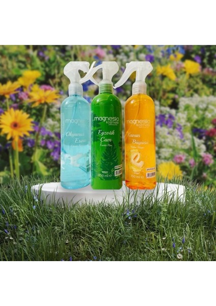 Oda ve Ortam Spreyi 3'lü Avantajlı Set (Okyanus, çam. kavun) modelleri