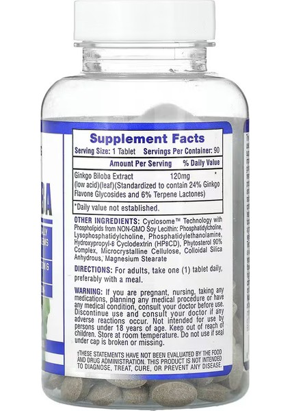 Ginkgo Biloba 90 Tablet