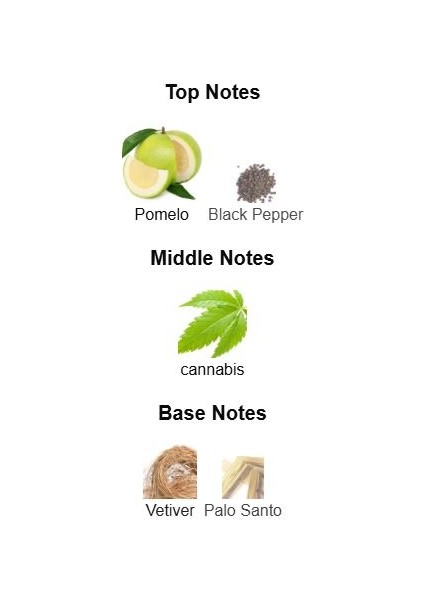 Fragrances Marley (Byredo - Open Sky) Pomelo, Ot (Kenevr) ve Vetiver Temalı Unisex Koku fiyatları