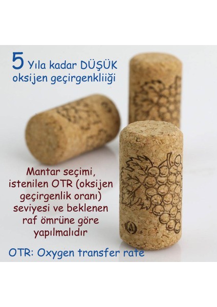 Şarap Mantarı Advantec® 100 Adet / 44 x 23 mm (5 Yıl) Vakumlu Ambalaj!