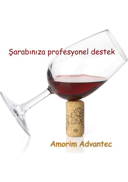 Şarap Mantarı Advantec® 100 Adet / 44 x 23 mm (5 Yıl) Vakumlu Ambalaj!