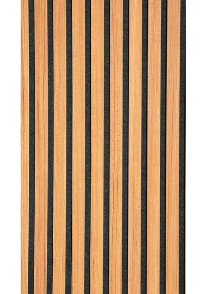 Akustik Duvar I 60X280