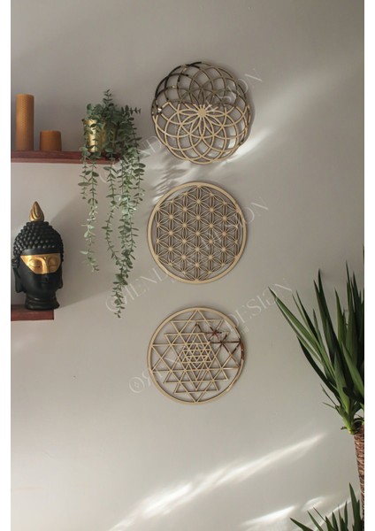 Kutsal Geometri Yaşam Çiçeği - Torus - Sri Yantra 3'lü Dönüşüm Seti (Gold)