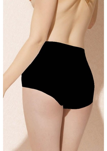 Kadın Modal Yüksek Bel Külot Slip 7161 modelleri
