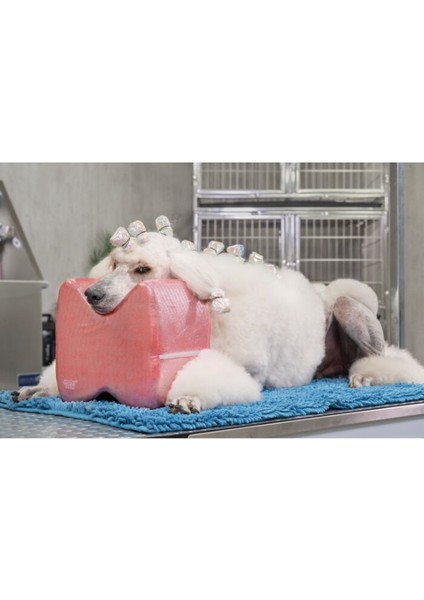 Top Knot Gösterişli Kırmızı Standart Poodle İçin Köpek Tıraş Yastığı Large