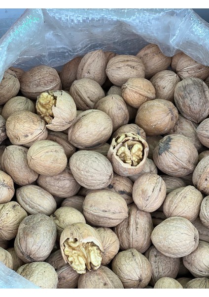 Maraş Chandler Ceviz Yeni Mahsül ( 1 Kg)