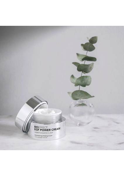 Egf Güç Kremi 50ML, Yoğun Nemlendirme ve Gençlik Işıltısı