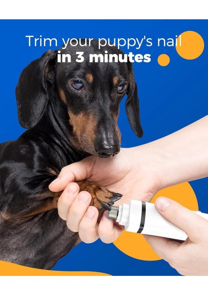4'ü 1 Arada Sessiz Kesme Makinesi, Köpek, Kedi Bakımı, Şarj Edilebilir, Pati Düzeltici