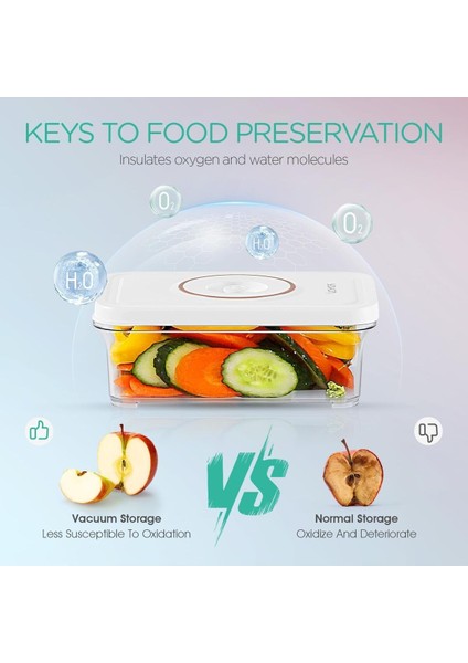 Vakumlu Kap, 3 Farklı Boyut, Yeniden Kullanılabilir, Aşınmaya Dayanıklı Gıda Saklama Kutusu modelleri