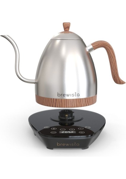 Artisan Elektrikli Kaz Boynu Su Isıtıcısı, Çift Cidarlı, Hassas Kontrol, Gümüş modelleri