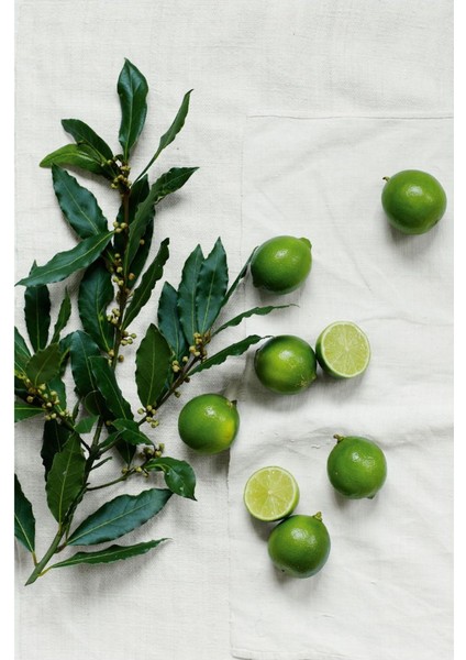 Lime & Bay El ve Tırnak Seti, El Sabunu ve Nemlendirici Krem (25 gr ml) fırsatları