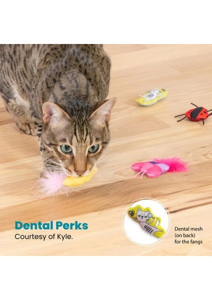 Cute As A Bug Catnip'li Kedi Oyuncağı 6'lı Paket modelleri