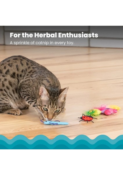 Cute As A Bug Catnip'li Kedi Oyuncağı 6'lı Paket fırsatları