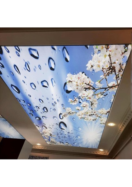 Yatak Odası Gergi Tavan Modelleri