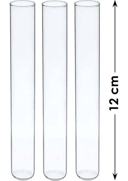 Duvar Çiçekliği Cam Tüpü 3 Adet - 12 cm Deney Tüpü