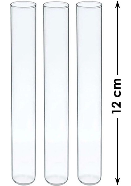 Duvar Çiçekliği Cam Tüpü 3 Adet - 12 cm Deney Tüpü fiyatları