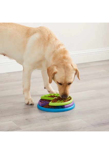 Lickin' Layers Köpekler için Puzzle Mama Kabı - Yavaş Yemeyi Teşvik Eder fiyatları