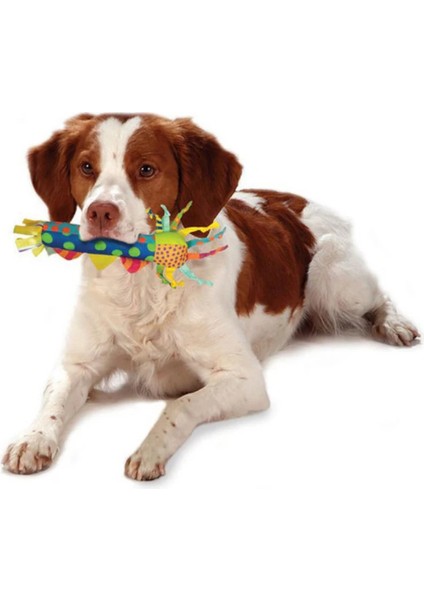 Cool Teething Stick Yavru Köpek Diş Kaşıma Oyuncağı