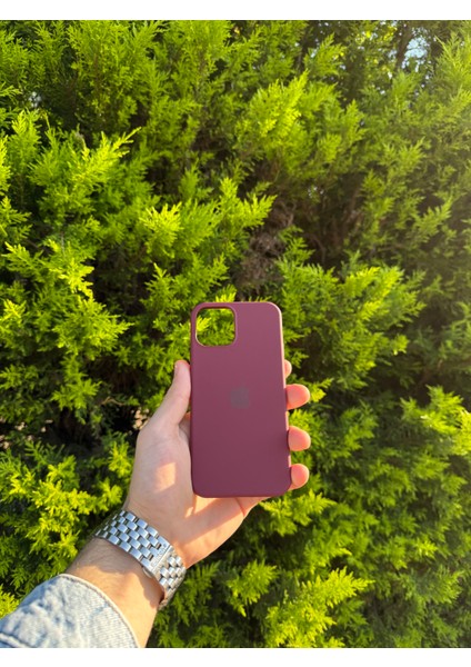 Apple iPhone 12/12 Pro Bordo Lansman Uyumlu Içi Kadife Silikon Kılıf
