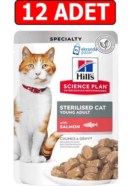 Kısırlaştırılmış Somonlu Kedi Konserve 85GR 12ADET Gravy Somonlu Kısır Kedi Yaş Mama
