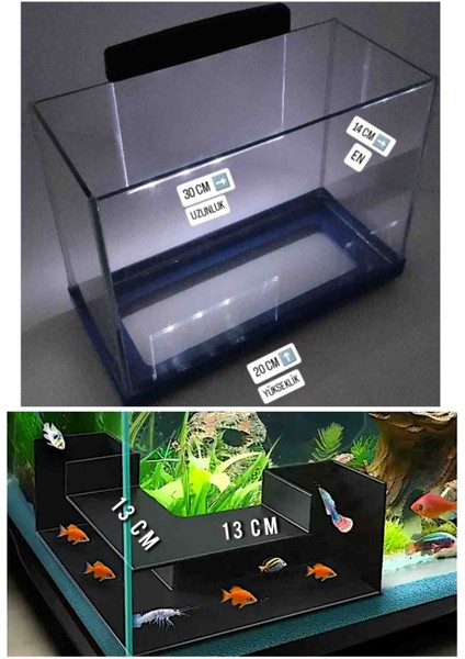 Işıklı Cam Akvaryum 30CM Fanus Balık Mağarası/tüneli ve LED Panel