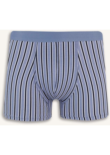 Regular Fit Çizgili 3'lü Boxer E7203AX25SM