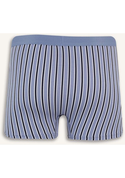 Regular Fit Çizgili 3'lü Boxer E7203AX25SM