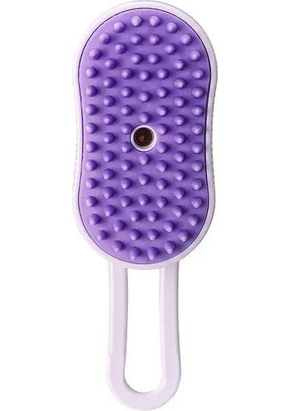 3'ü 1 AradaFırçası Buhar Fırçası Buharlı Saçı Buhar Fırçası Elektrikli Sprey Saçı Fırçaları MasajBakım Tarak Rengi:mor (Yurt Dışından)