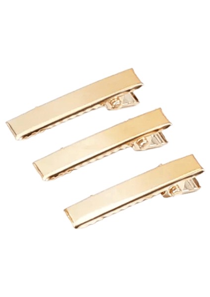 30PCS/SET Altın Gümüş Renkli si Temel Parlak Metal Timsah Saç Tokaları DıyKız Kuaförlük Araç Altın 3.1cm (Yurt Dışından)
