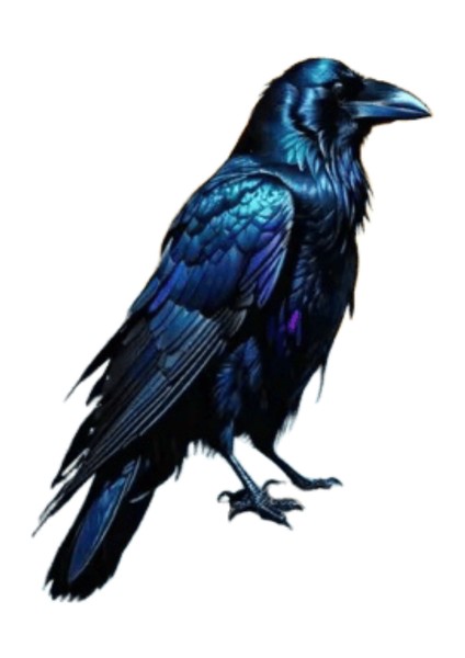 Momoart Bird Paint By Numbers Animal Home Decor No Frame Oil Painting Crow Acrylic Kits On Canvas Home Bedroom Wall ARTWORKAABB-5006/SIZE(CM):30X40CM No Frame (Yurt Dışından)