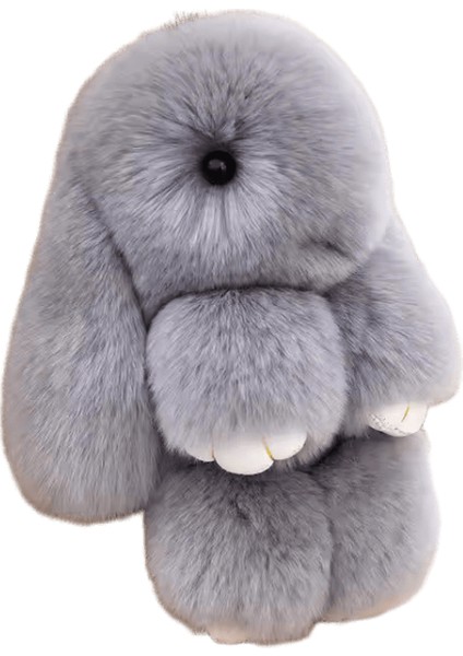 Üç Model Boyutu Rex Tavşan Kürk Sevimli Kabarık Tavşan Anahtarlık Kürk Anahtar Zincirleri Çanta Bebek Güzel Anahtarlık Kolye Renk: Açık Gri / Boyut: 13 cm (Yurt Dışından)