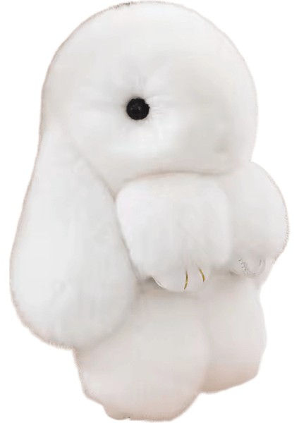 Üç Model Boyutu Rex Tavşan Kürk Sevimli Kabarık Tavşan Anahtarlık Kürk Anahtar Zincirleri Çanta Bebek Güzel Anahtarlık Kolyerenk: Haki / Boyut: 13 cm (Yurt Dışından)