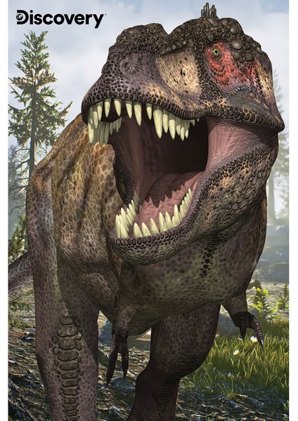 Discovery T-Rex ve Allosaurus Ikili Puzzle 200 Parça 102