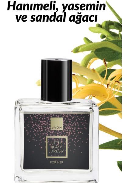 Little Black Dress Kadın Parfüm Edp 30 Ml. fiyatları