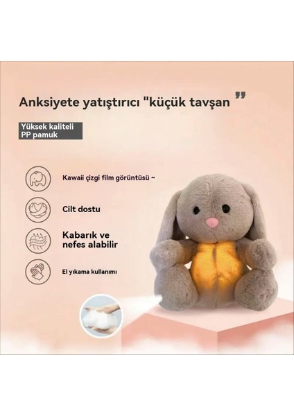 28 cm Stitch Gri Tavşana Dönüştü (Yurt Dışından)