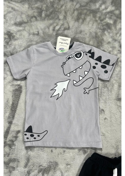 Dinozor Baskı Erkek Çocuk Takım