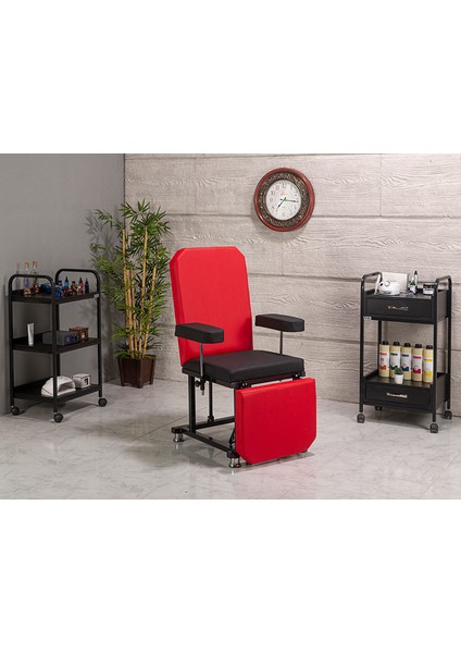 Eva Sırt ve Ayak Kısmı Hareketli Koltuk Cilt Bakım Koltuğu modelleri