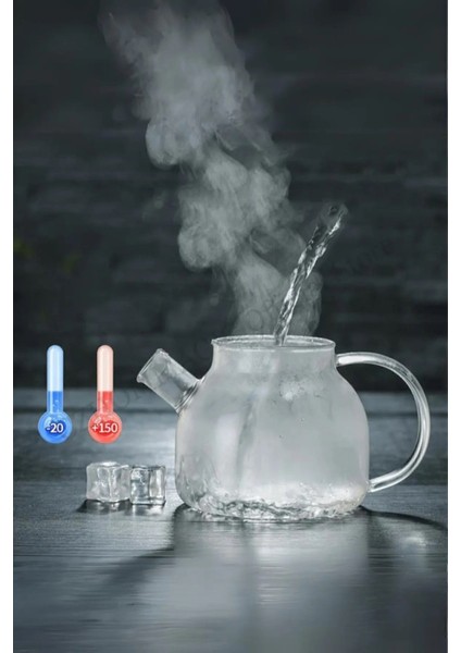 Cambu Bambu Zarafeti, Isıya Dayanıklı 900 ml Süzgeçli Cam Demlik Bitki Çayları ,borosilikat , Sürah indirimleri
