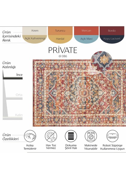 Private Renkli Eskitme Vintage Halı Etnik Desen Dokuma Şönil Halı Yıkanabilir Salon Halısı fiyatları