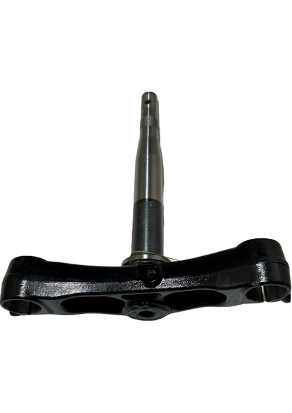 Forza Maşa Orjinal 2018-2020