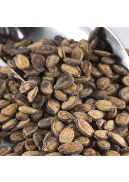 Karpuz Çekirdeği Kavrulmuş 500 gr fiyatları