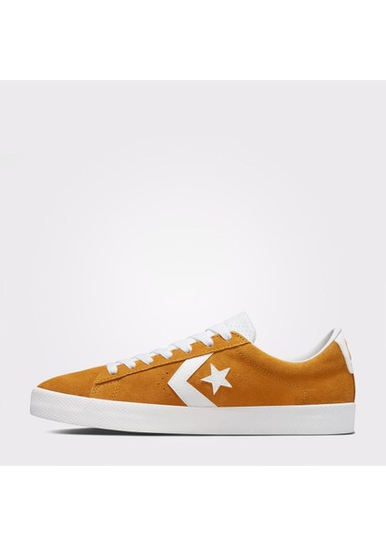 Pl Vulc Pro Summer