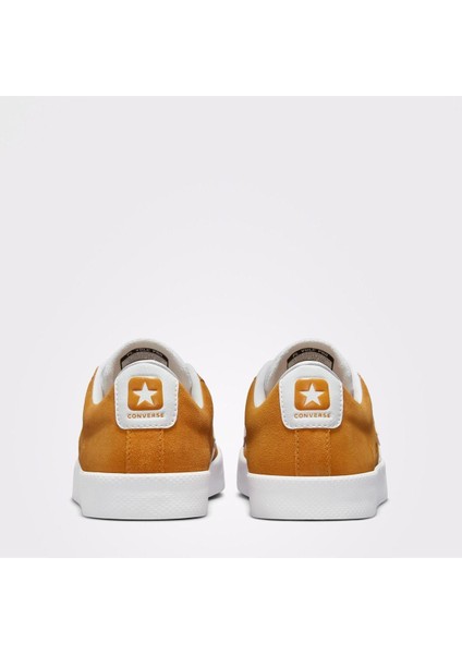 Pl Vulc Pro Summer