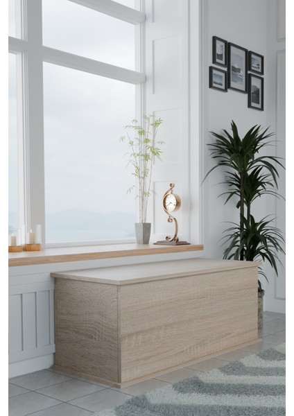 Pratik ve Şık Kapaklı Sandık | Geniş İç Hacimli Çok Amaçlı Depolama Kutusu |Salon, Çocuk Odası ve Yatak Odası İçin Modern Tasarımlı Kapaklı Sandık 100x40 cm