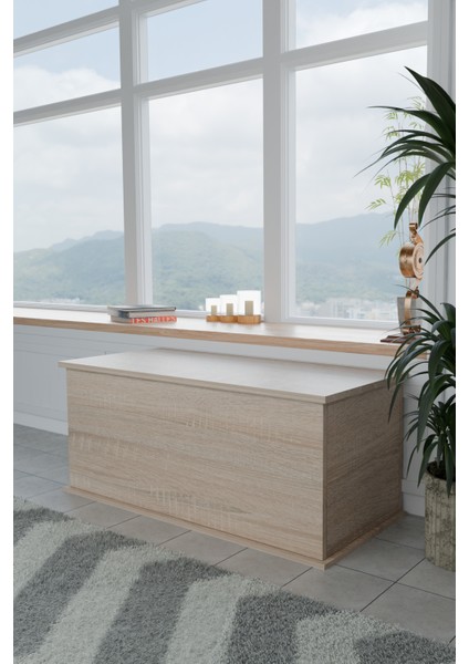 Pratik ve Şık Kapaklı Sandık | Geniş İç Hacimli Çok Amaçlı Depolama Kutusu |Salon, Çocuk Odası ve Yatak Odası İçin Modern Tasarımlı Kapaklı Sandık 100x40 cm modelleri