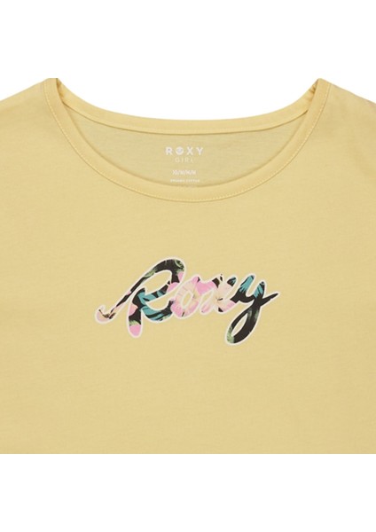 Day And Nıght fiyatları