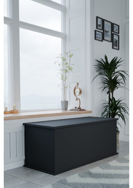Çeyiz Sandığı Çok Amaçlı Saklama Kutusu Salon Antre Mobilyası Oyuncak Organizer Sandık 125x40 cm Siyah