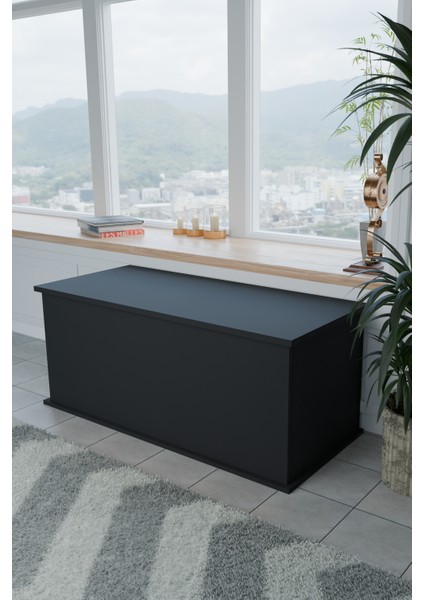 Çeyiz Sandığı Çok Amaçlı Saklama Kutusu Salon Antre Mobilyası Oyuncak Organizer Sandık 125x40 cm Siyah modelleri